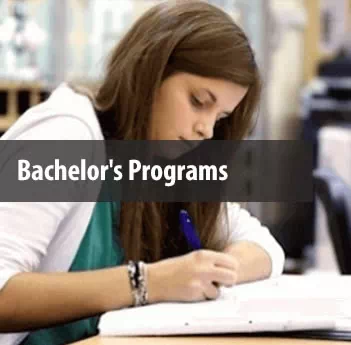 Bachelor programs